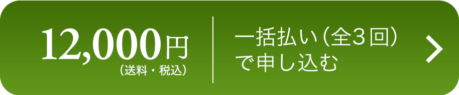 野菜セット