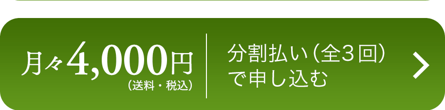 野菜セット
