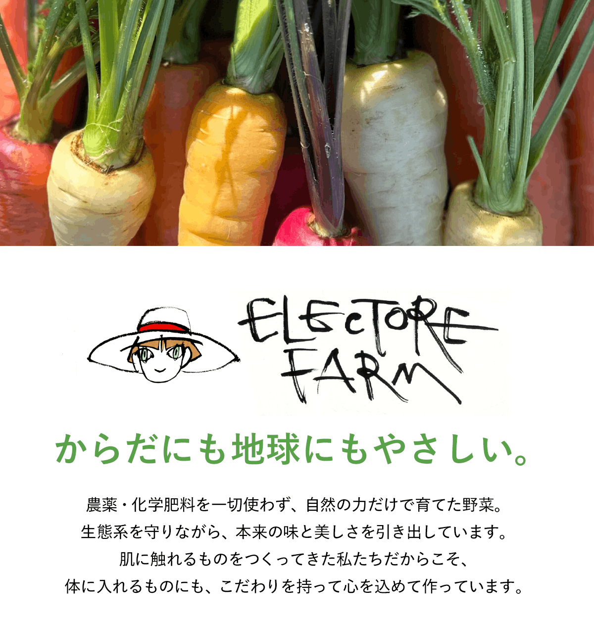 エレクトーレ 農薬不使用 季節の野菜セット