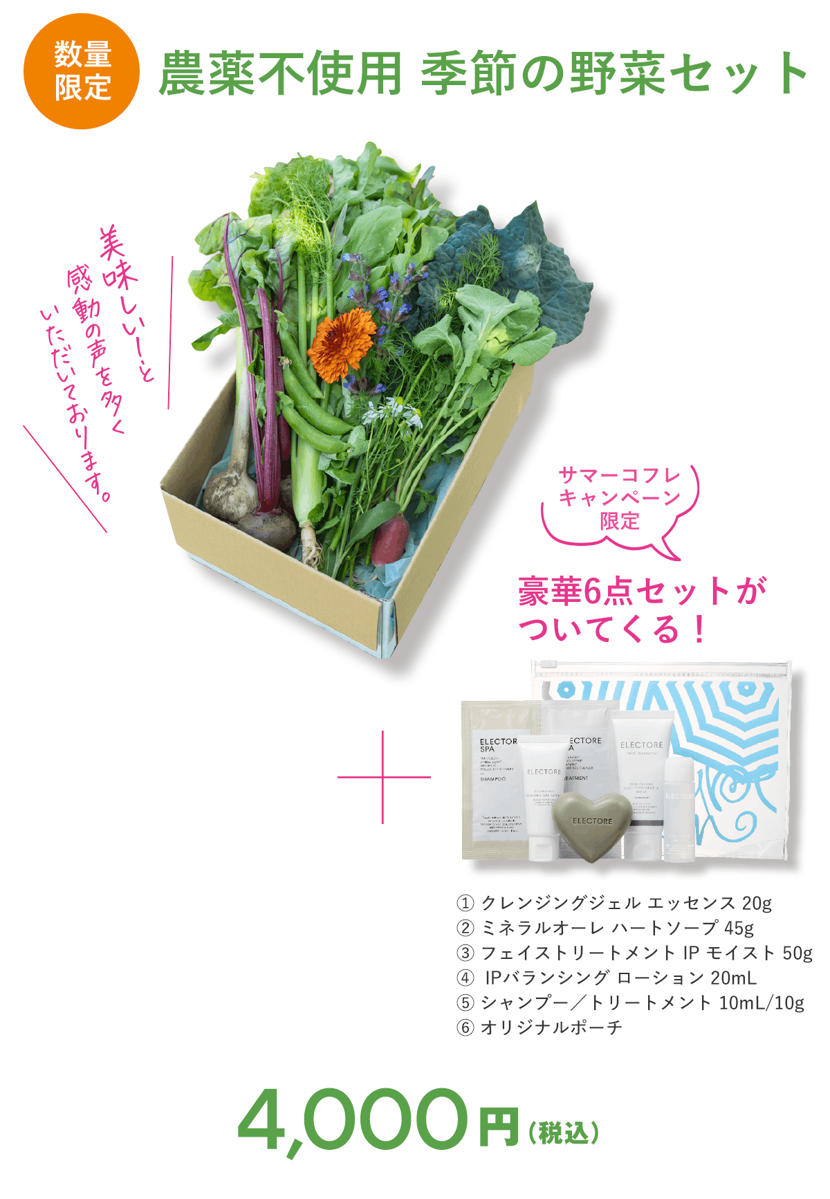 エレクトーレ 農薬不使用 季節の野菜セット