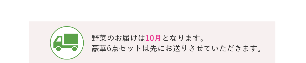 エレクトーレ 農薬不使用 季節の野菜セット