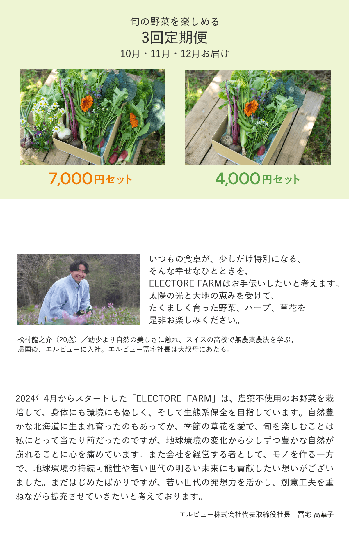 エレクトーレ 農薬不使用 季節の野菜セット
