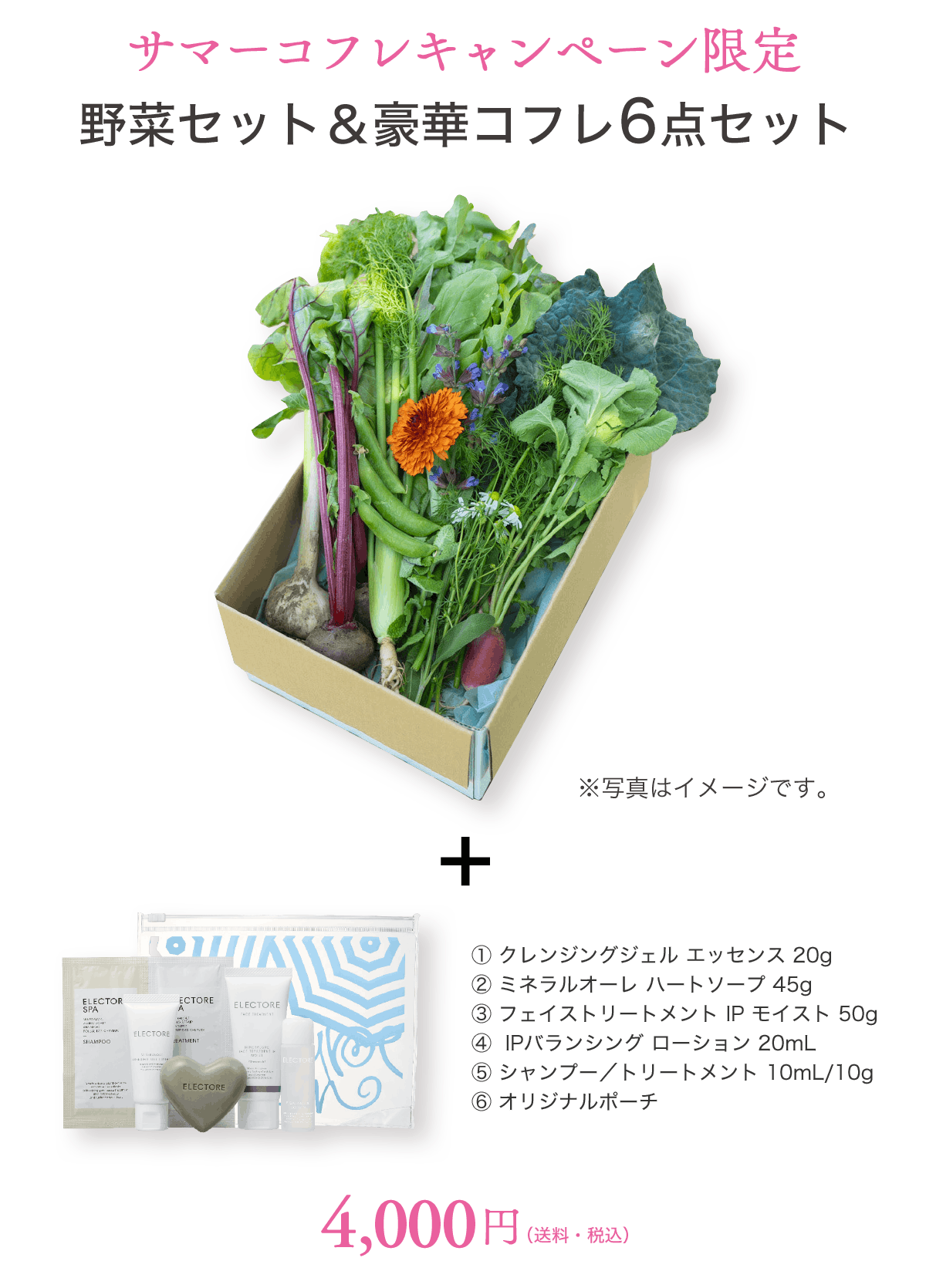 サマーコフレキャンペーン 野菜セット