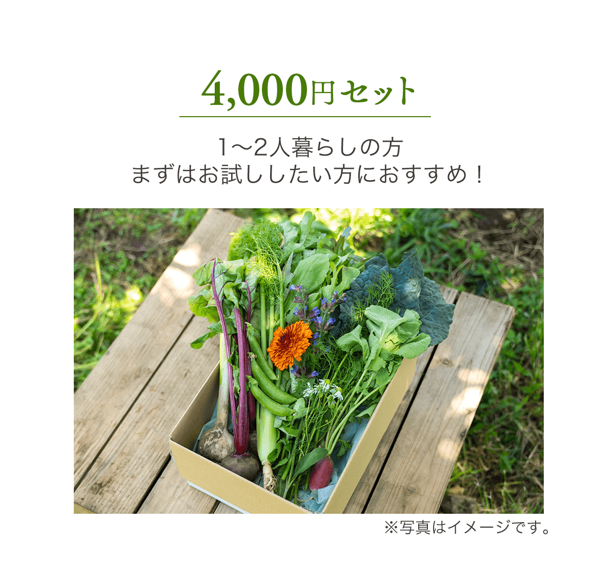 野菜セット