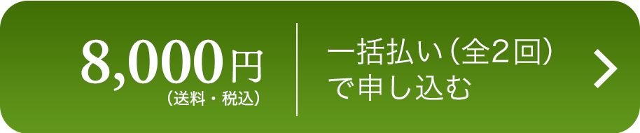 野菜セット
