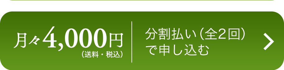 野菜セット