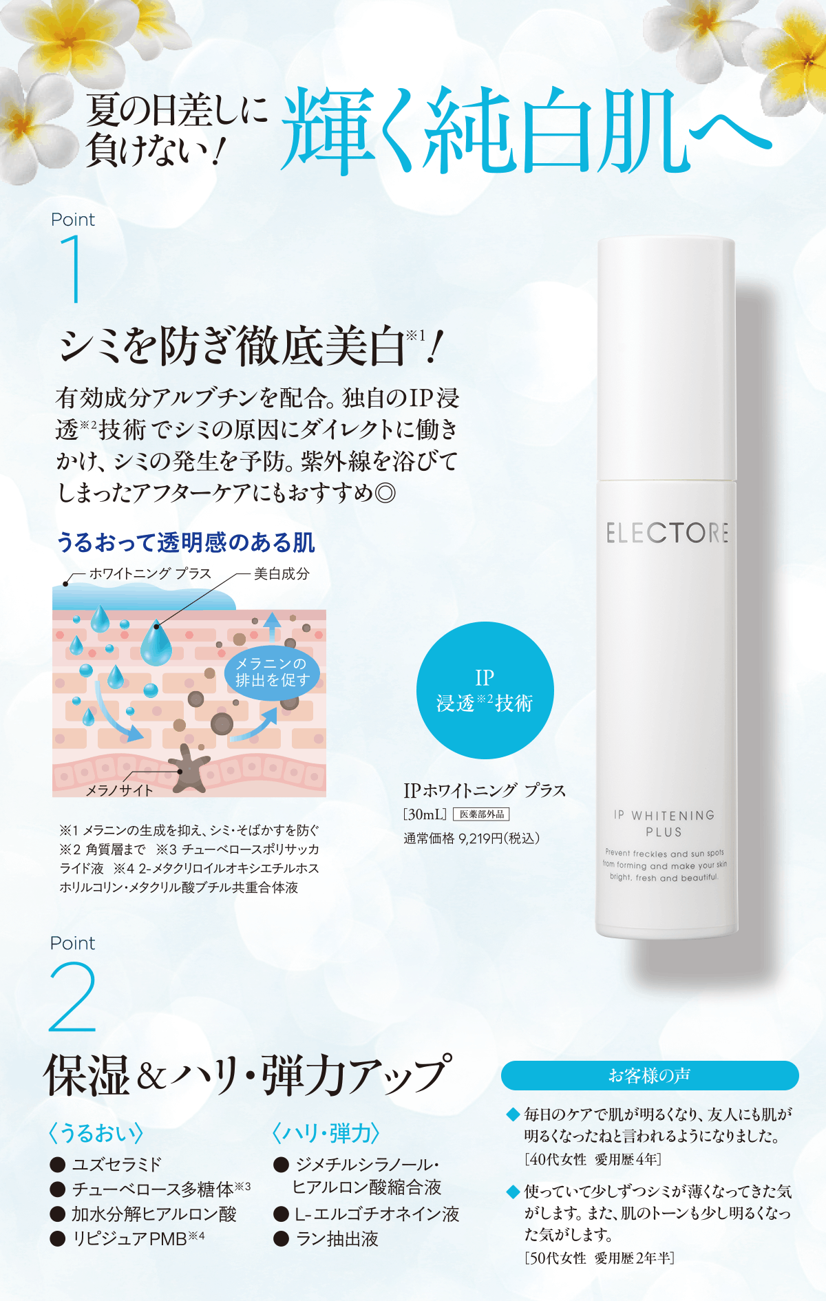 エレクトーレ サマーコフレキャンペーン