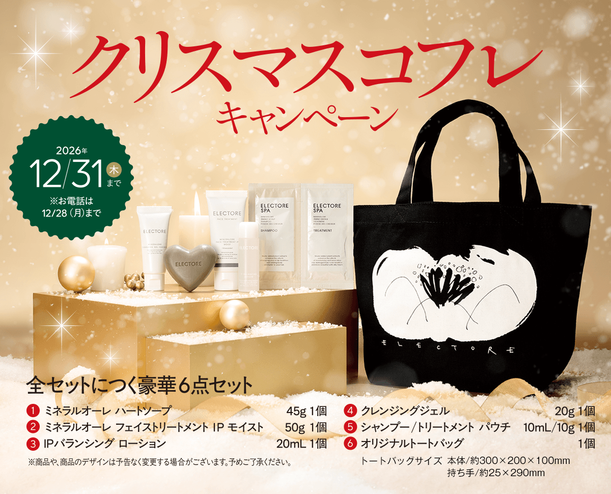 エレクトーレ クリスマスコフレキャンペーン