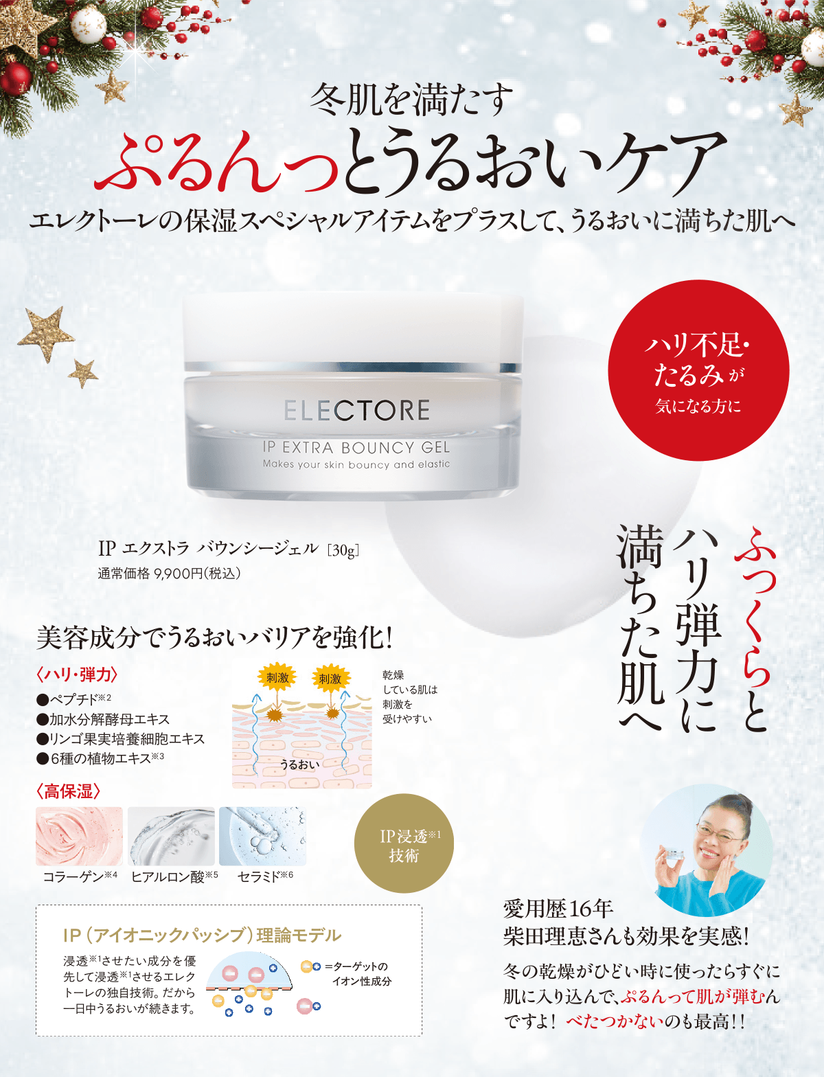エレクトーレ クリスマスコフレキャンペーン