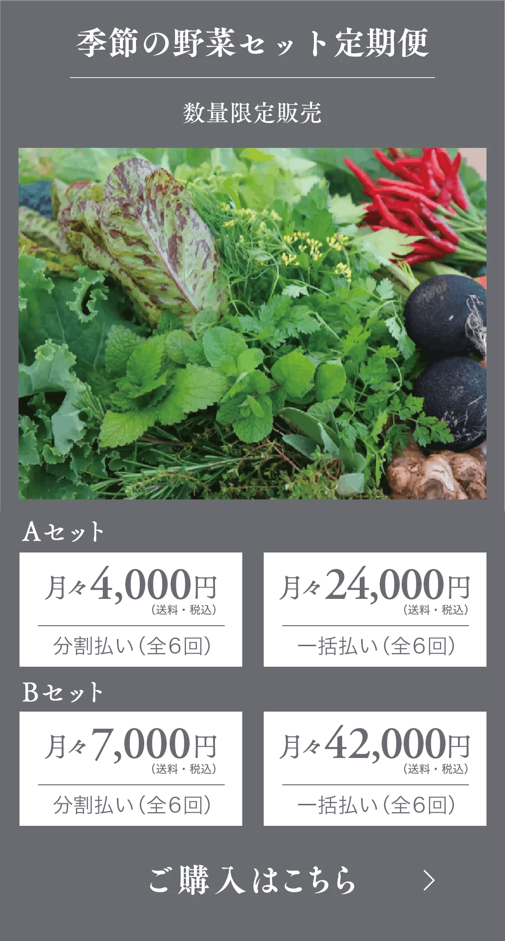 季節の野菜セット定期便 6ヶ月42,000円（税込）