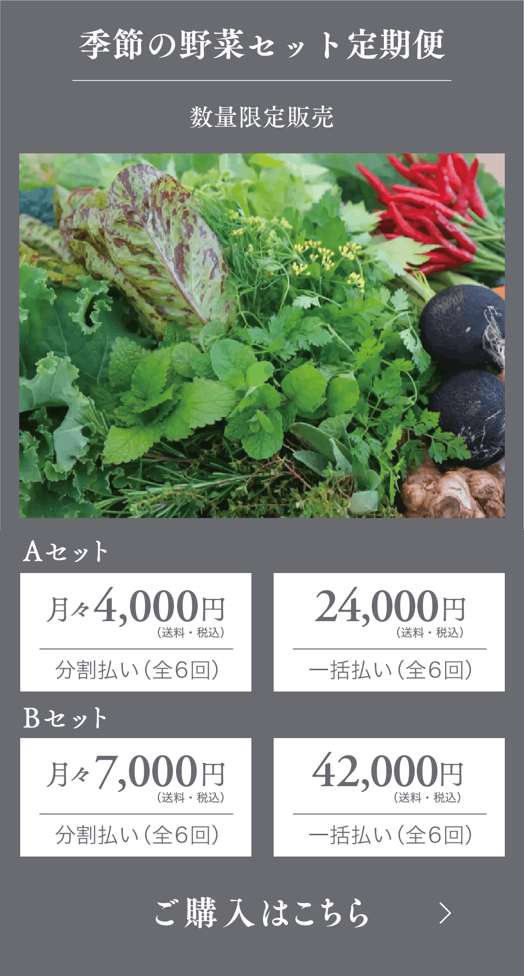 季節の野菜セット定期便 6ヶ月42,000円（税込）