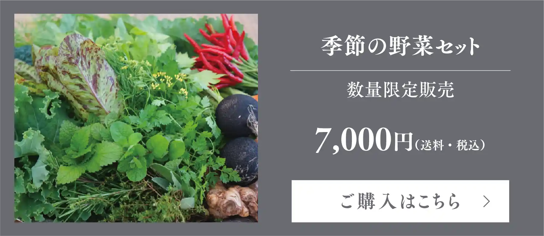 季節の野菜セット 7,000円（送料・税込）