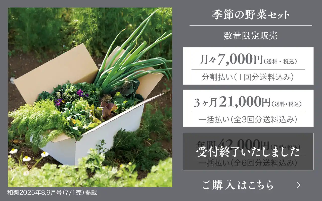 季節の野菜セット定期便 3ヶ月21,000円（税込）
