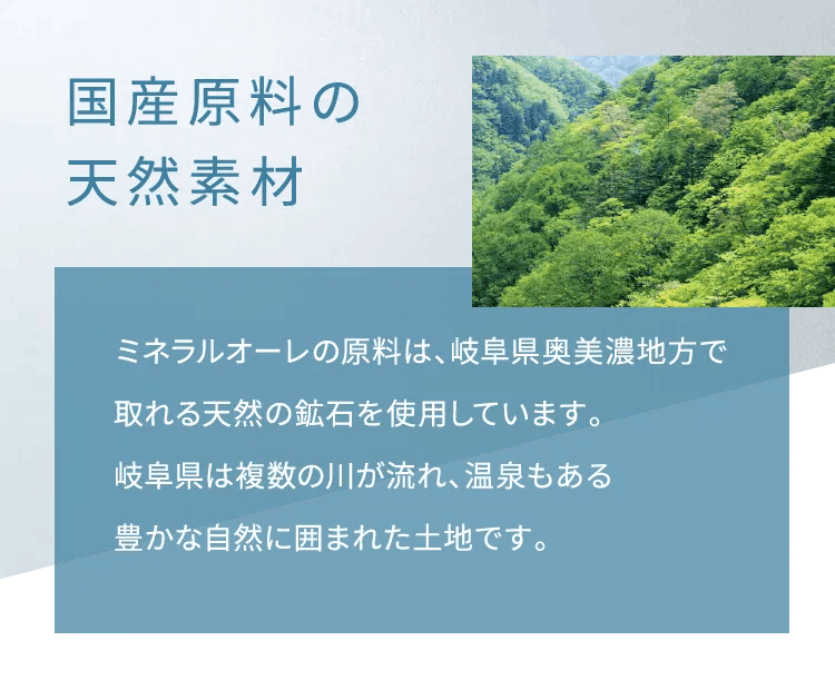 エレクトーレ ストーリーをご覧になった方限定のご案内