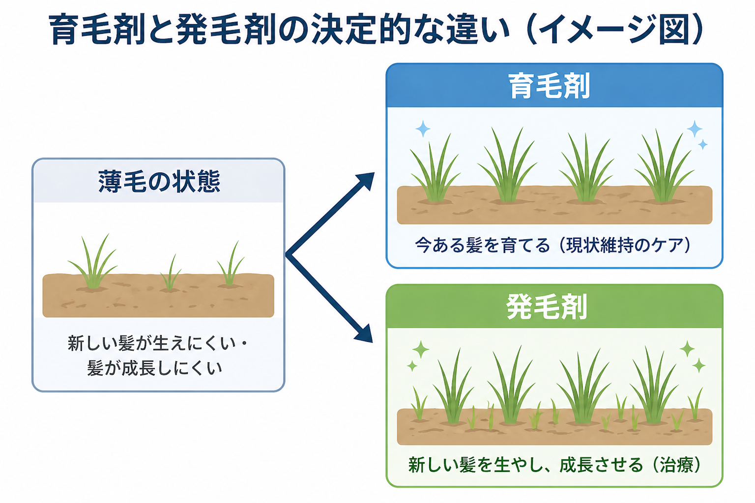 育毛剤と発毛剤の決定的な違い