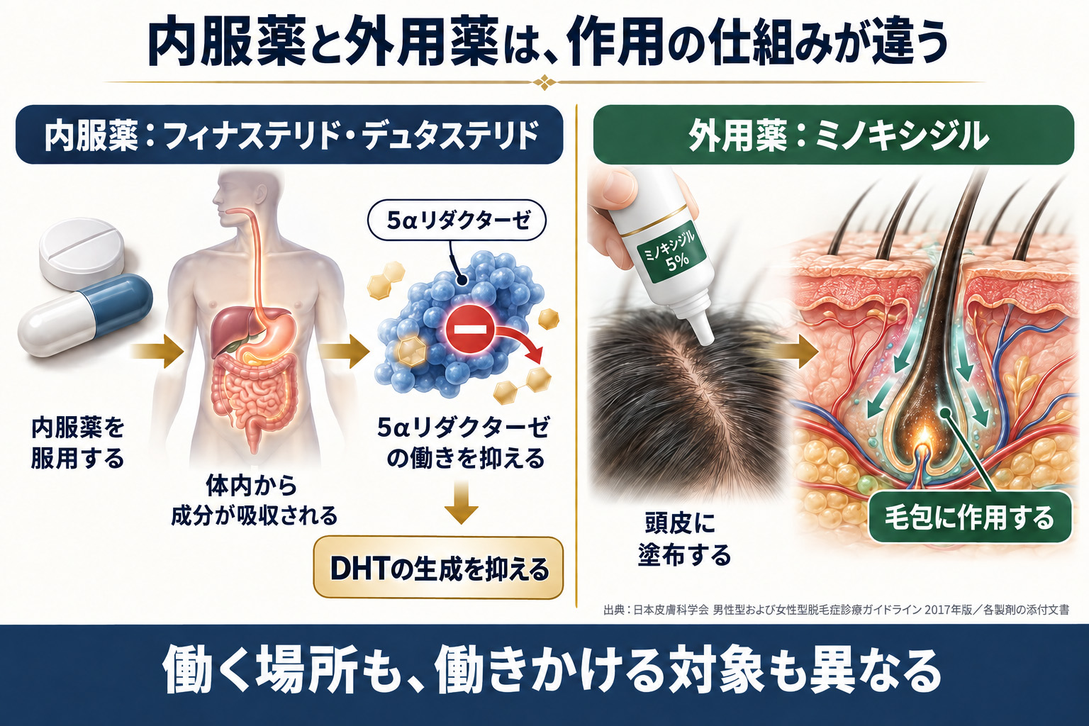 内服薬と外用薬は作用の仕組みが違う