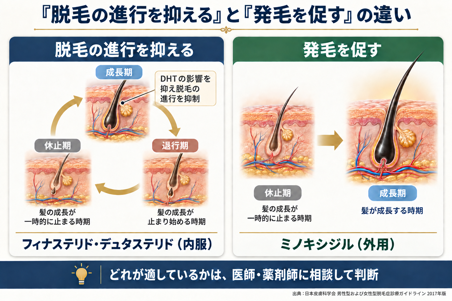 脱毛の進行を抑えると発毛を促すの違い