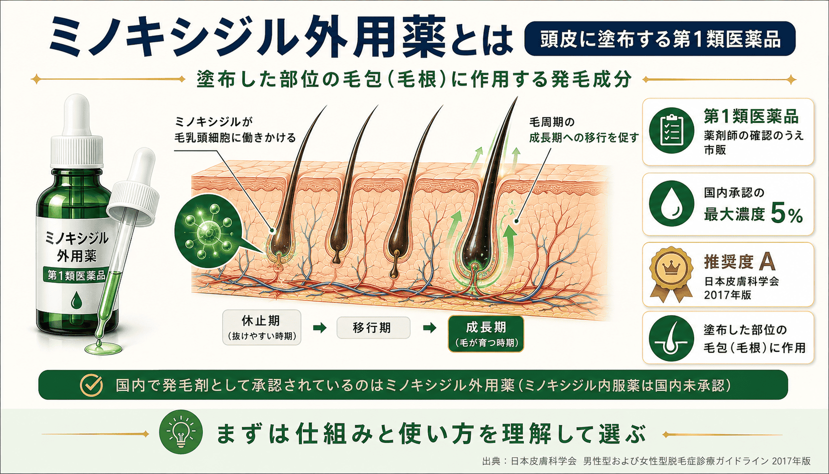 ミノキシジル外用薬の基礎知識