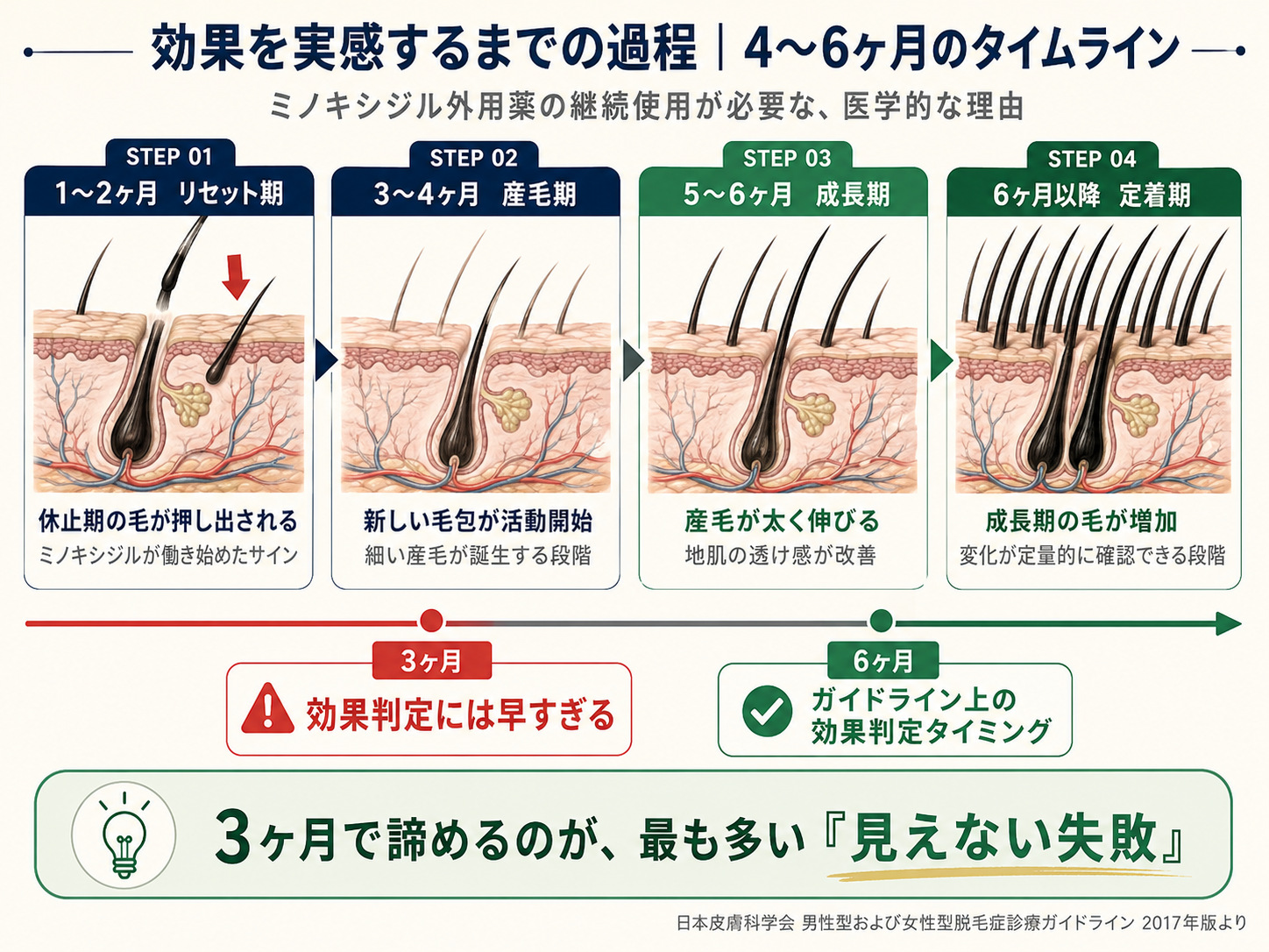 使用期間と毛包の変化