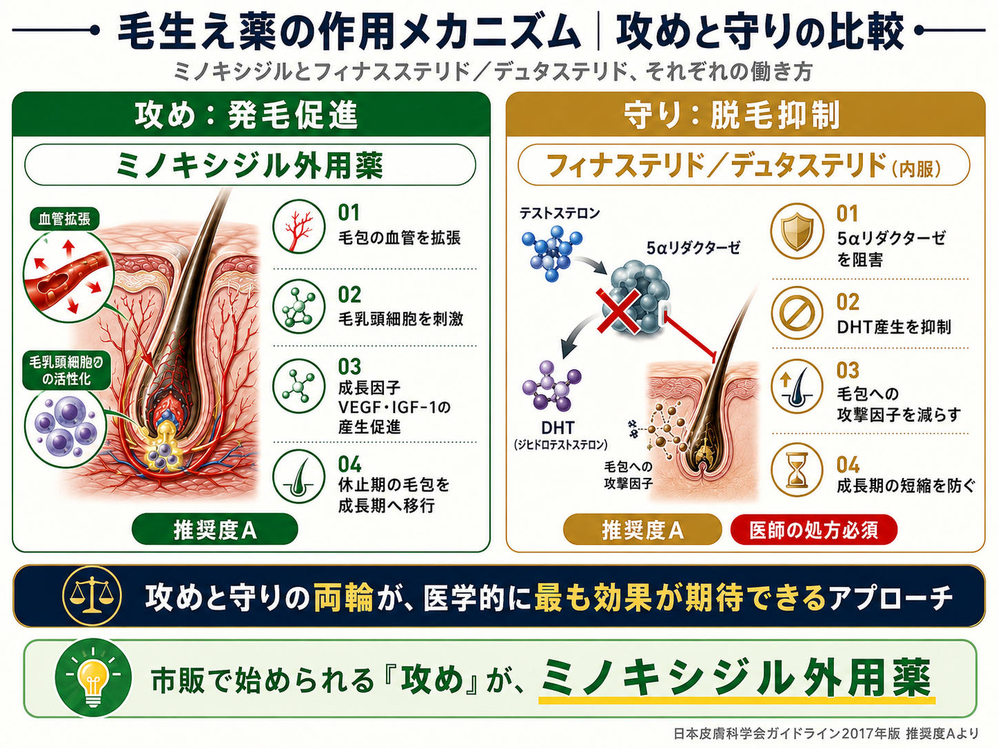 発毛・育毛・養毛剤の3カテゴリ図解