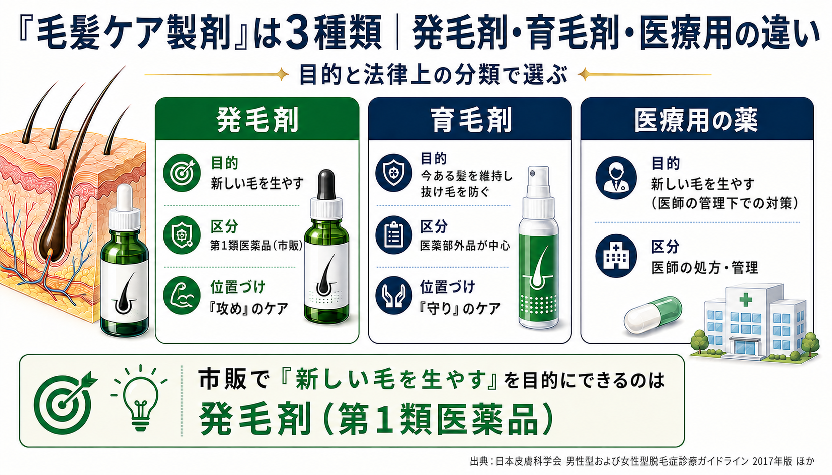 髪が生える薬の全体像