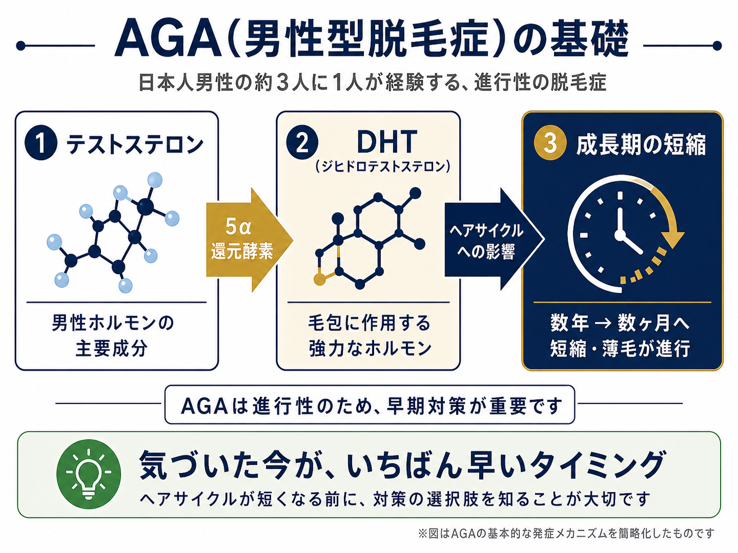 AGAとは何か