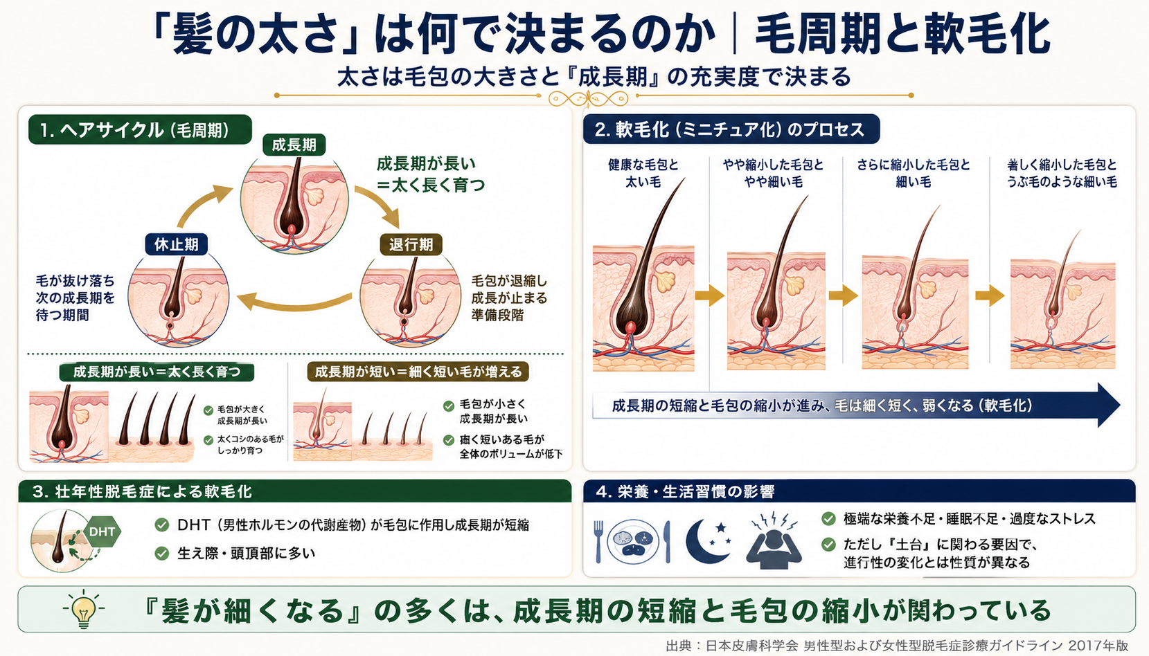 髪の太さに向き合う