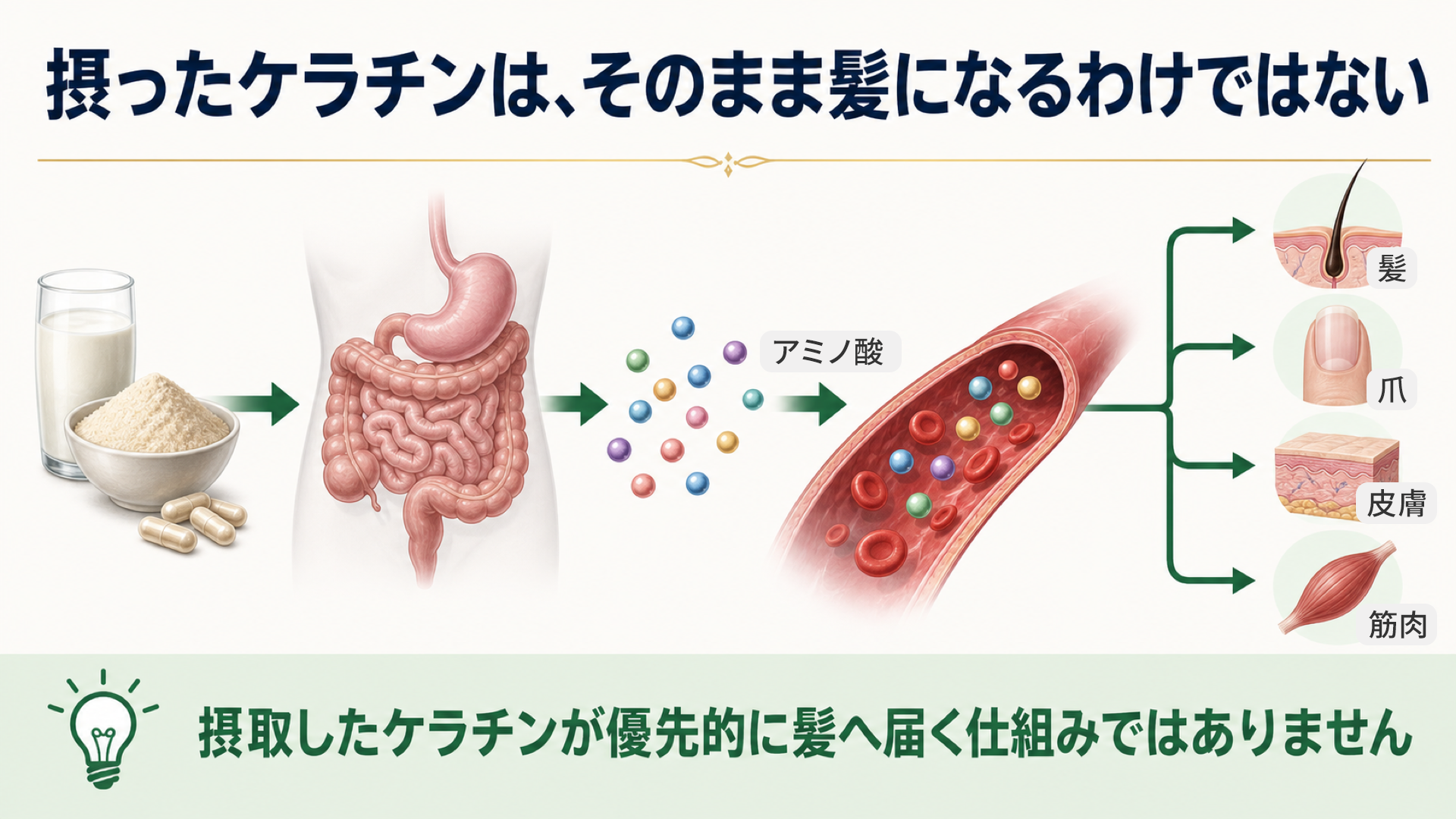 ケラチンはそのまま髪になるわけではない