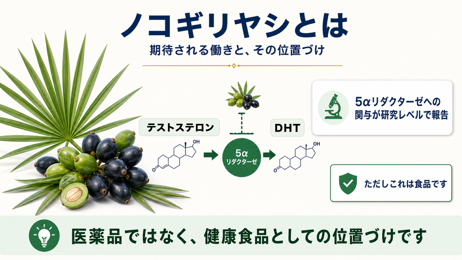 ノコギリヤシとは