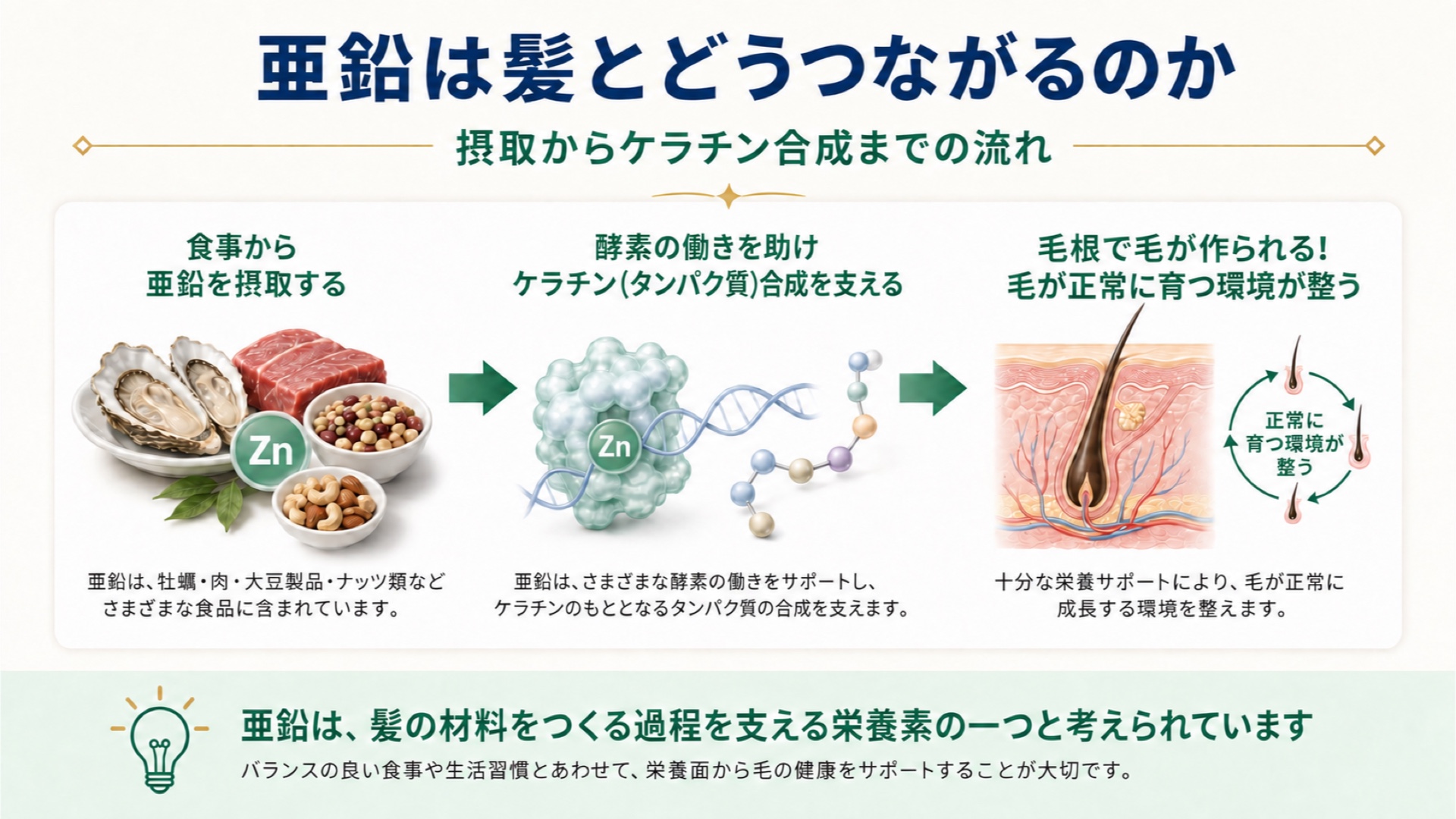 亜鉛は髪とどうつながるのか