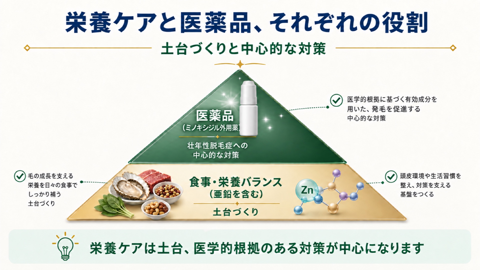 栄養ケアと医薬品それぞれの役割