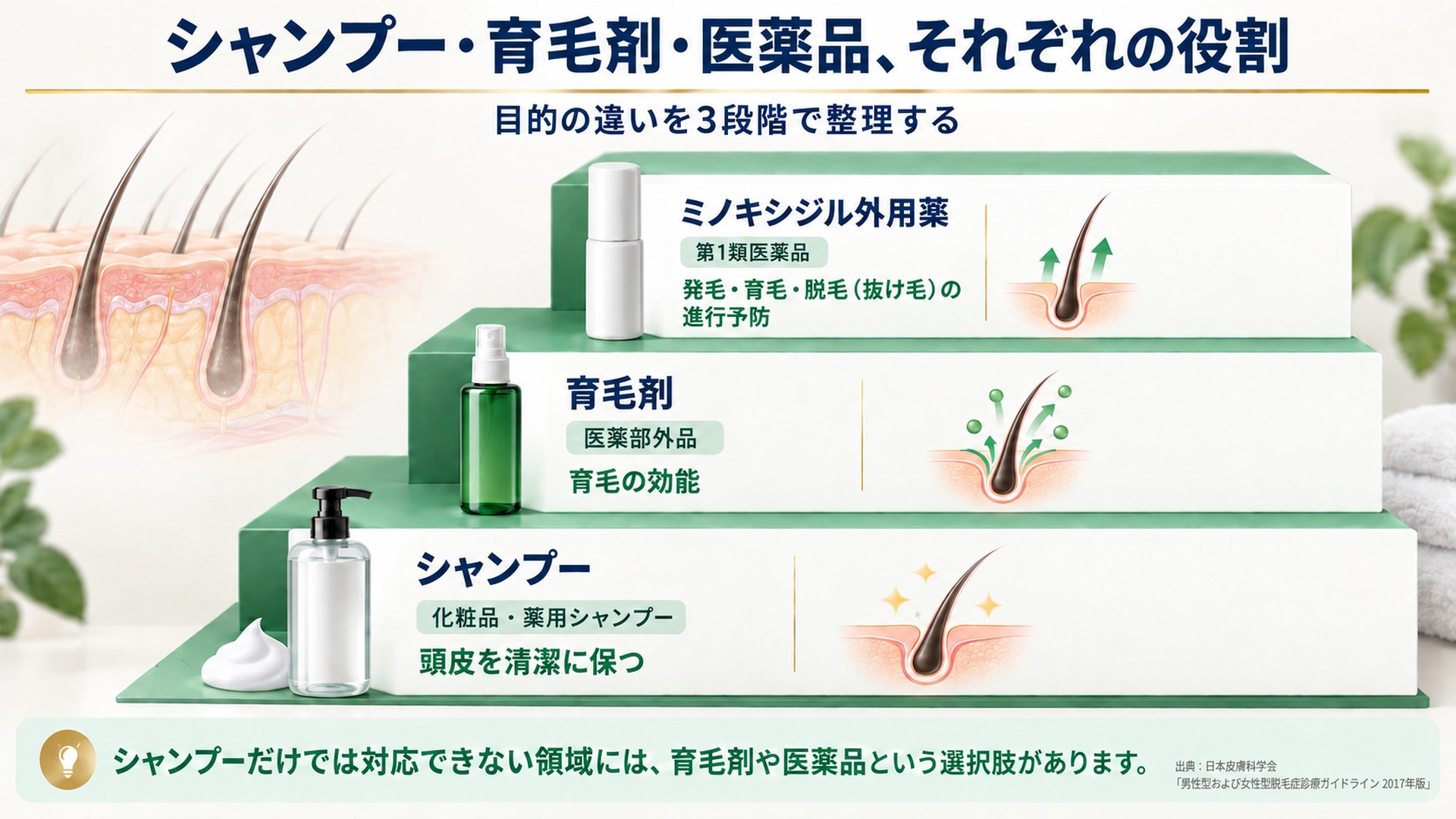 シャンプー・育毛剤・医薬品それぞれの役割