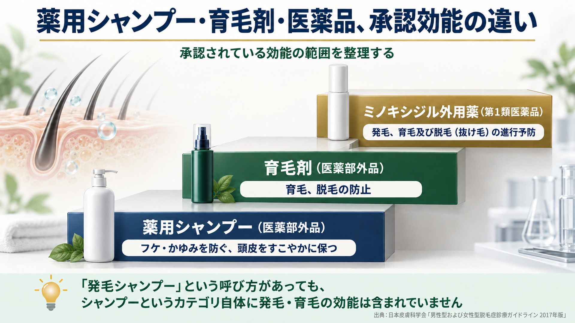 薬用シャンプー・育毛剤・医薬品、承認効能の違い