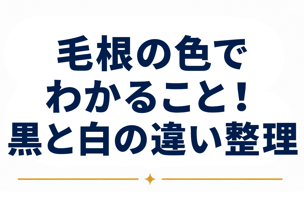 毛根が黒いのは大丈夫？毛根の色でわかることと、白い毛根との違いを整理