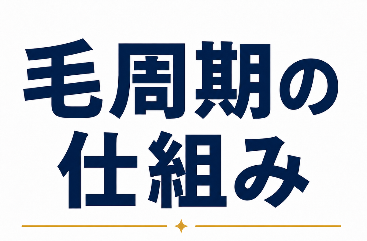 毛周期（ヘアサイクル）の仕組み｜薄毛の原因は「成長期の短縮」にあった
