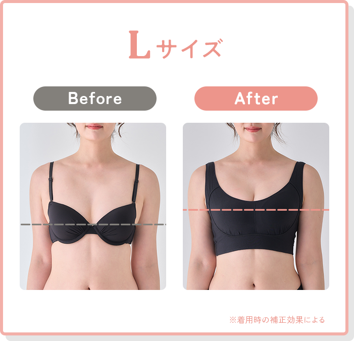 Lサイズ