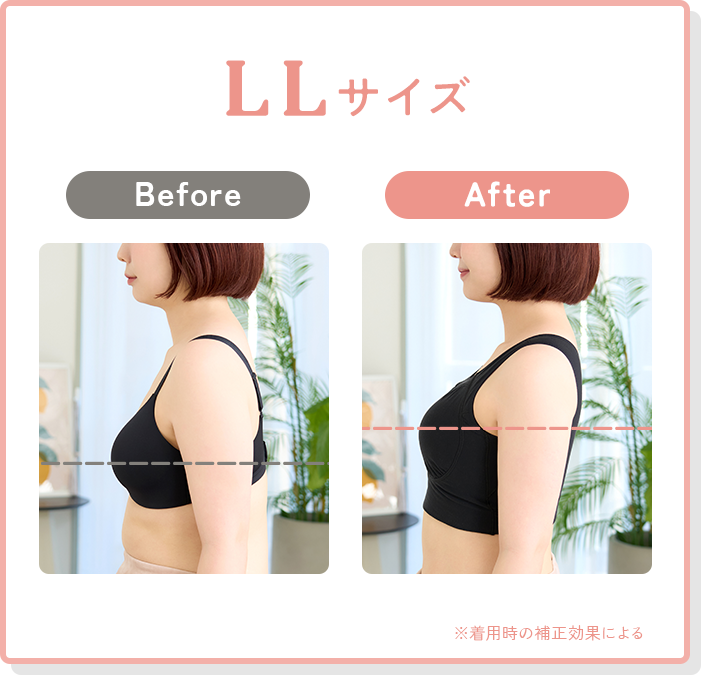 LLサイズ
