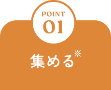 POINT 01 集める