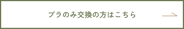 ブラのみ