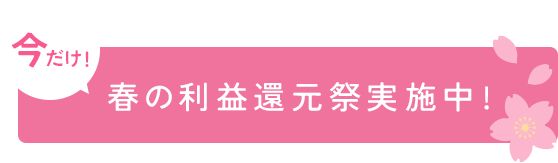 春の大感謝祭実施中