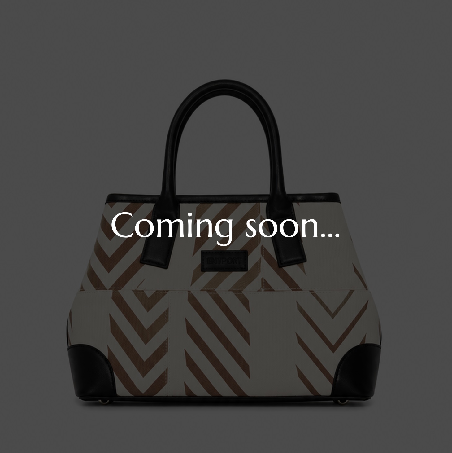 Horizon TOTE BAG (S) 
