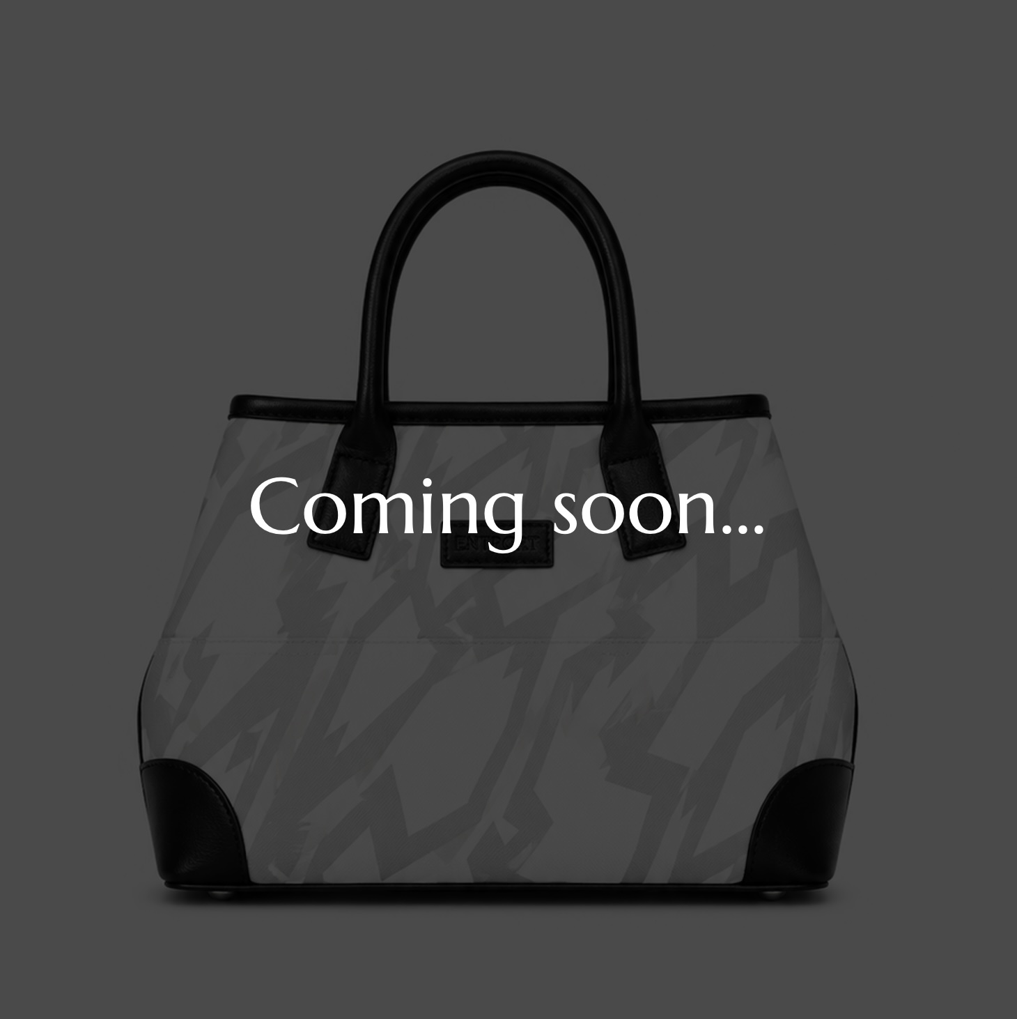 Horizon TOTE BAG (S)