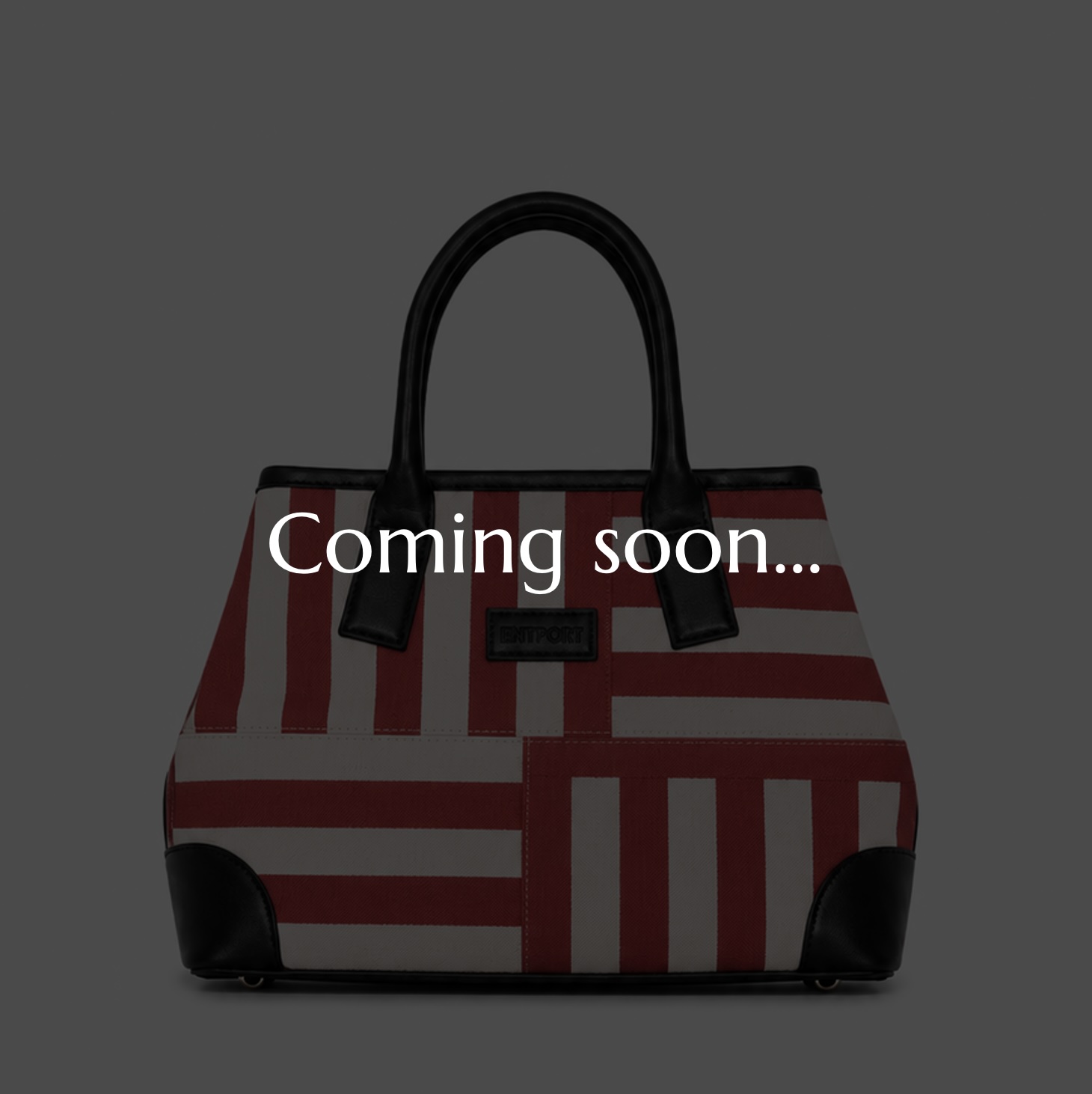 Horizon TOTE BAG (S)