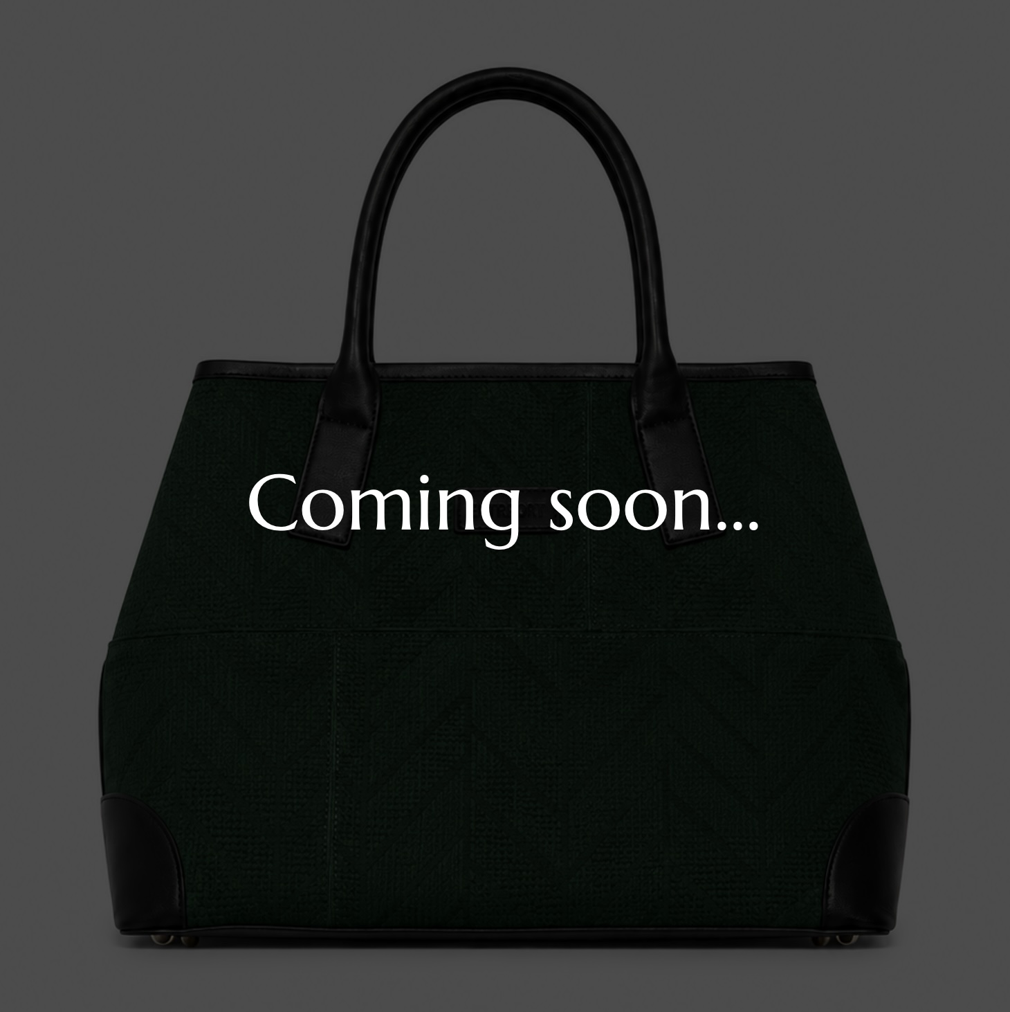 Horizon TOTE BAG (M)