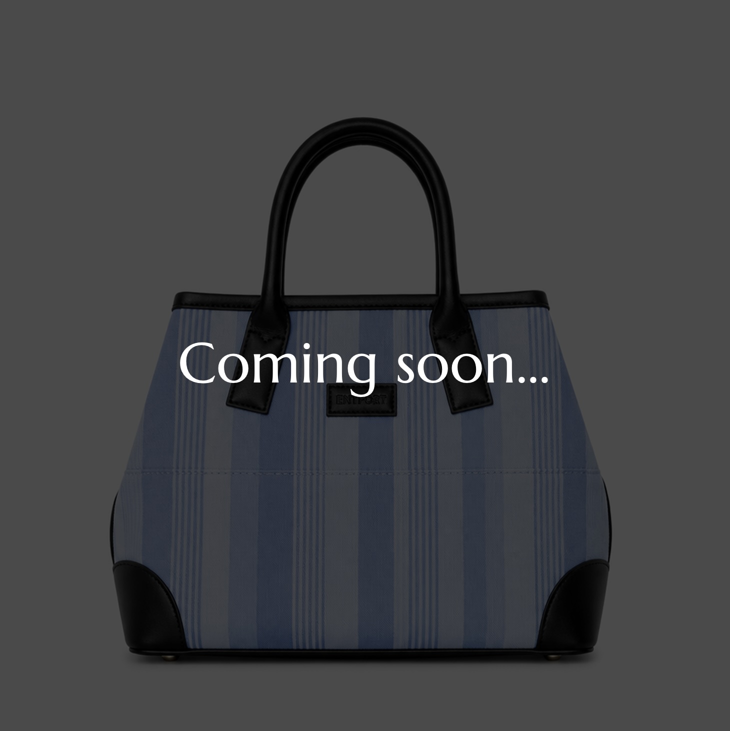 Horizon TOTE BAG (S) 