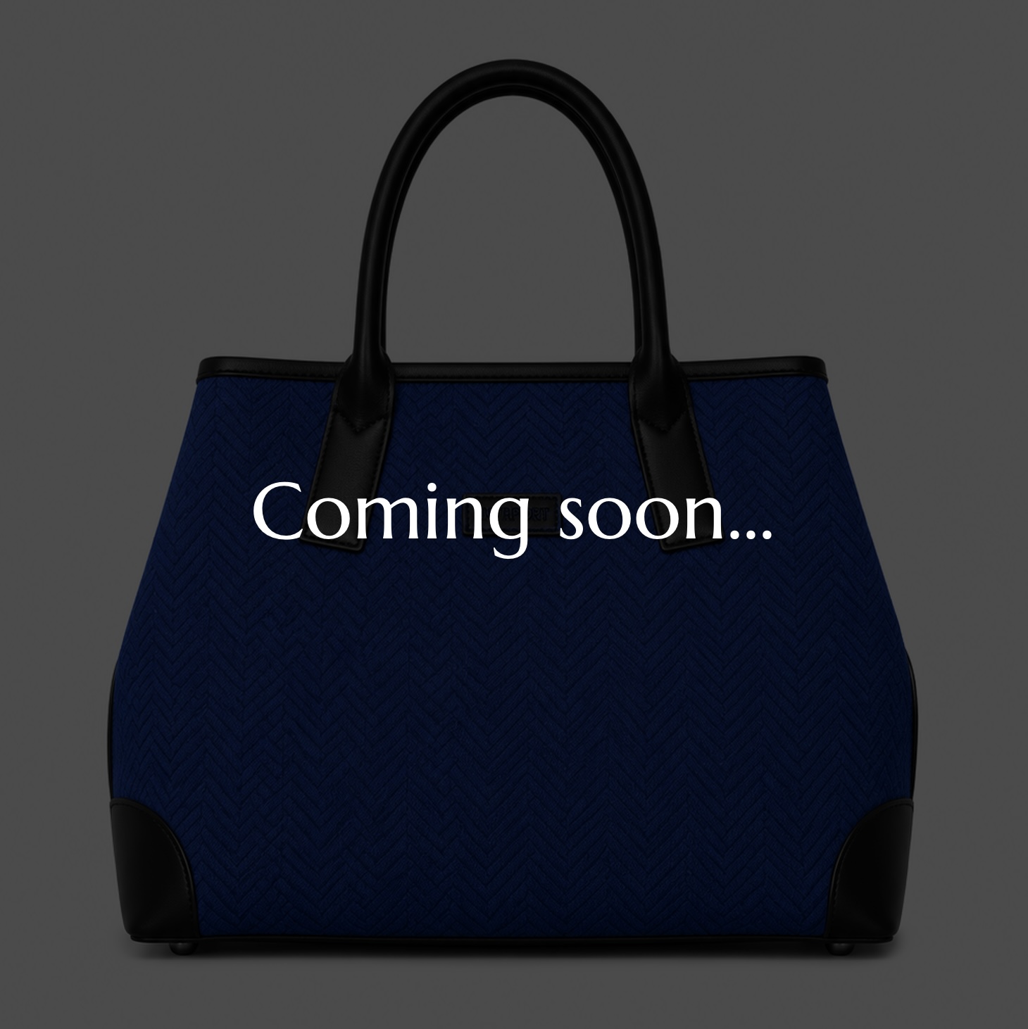 Horizon TOTE BAG (M)