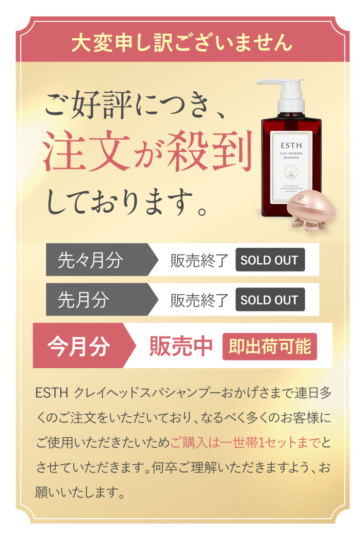 大変申し訳ございません ご好評につき、注文が殺到しております。