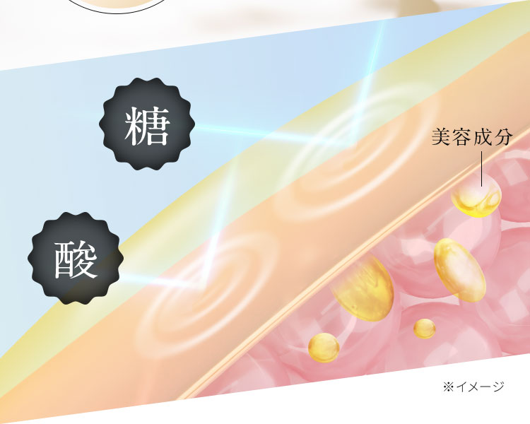 発酵大豆イソフラボン