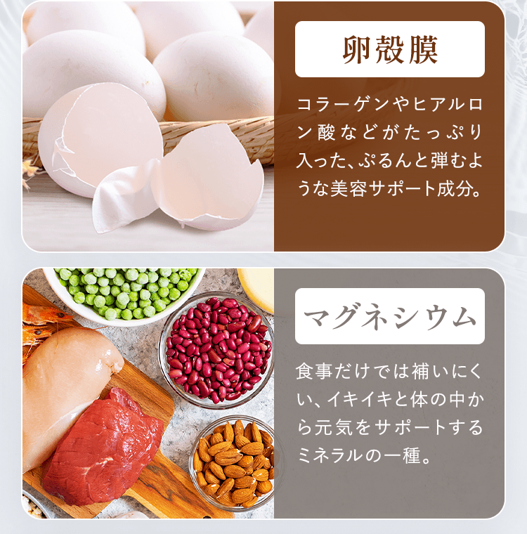 卵殻膜 マグネシウム