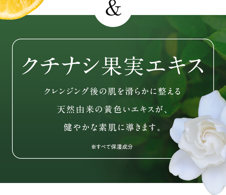 クチナシ果実エキス